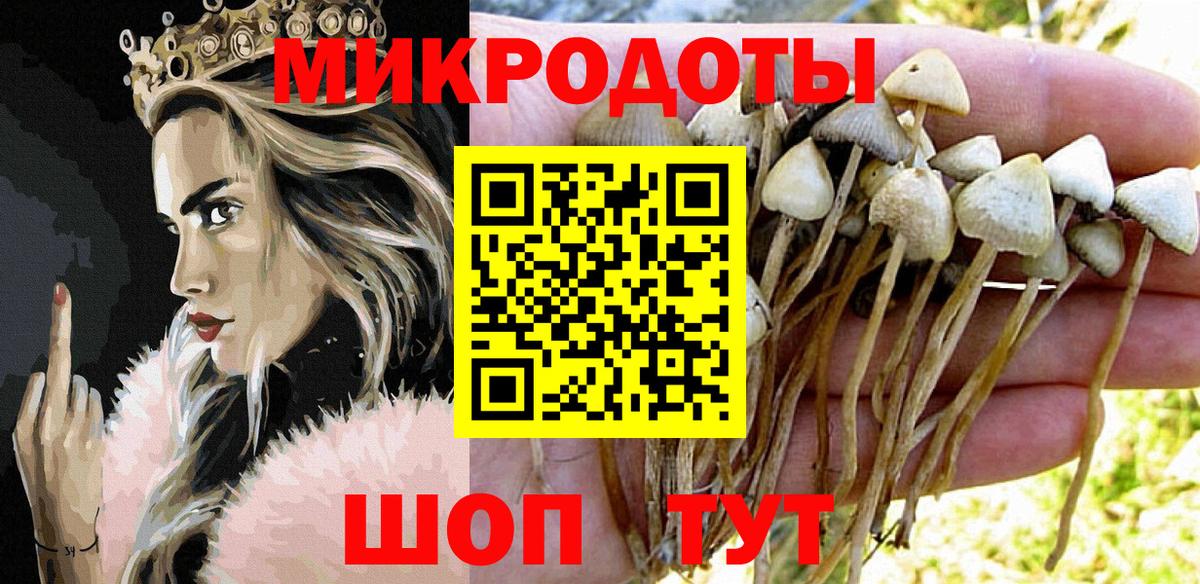 Галлюциногенные грибы мухоморы  Вход с VPN  Псилоцибиновые грибы прущие грибы  Люберцы 